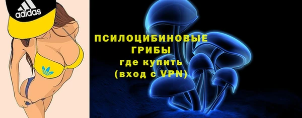 ГАЛЛЮЦИНОГЕННЫЕ ГРИБЫ Алексеевка