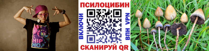 Псилоцибиновые грибы Psilocybine cubensis  Кемерово 