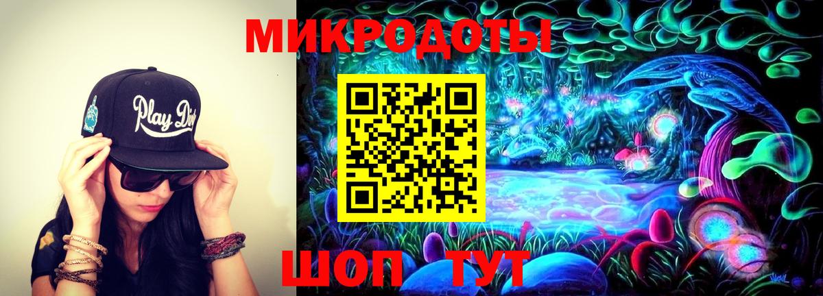Галлюциногенные грибы Psilocybine cubensis Кемерово