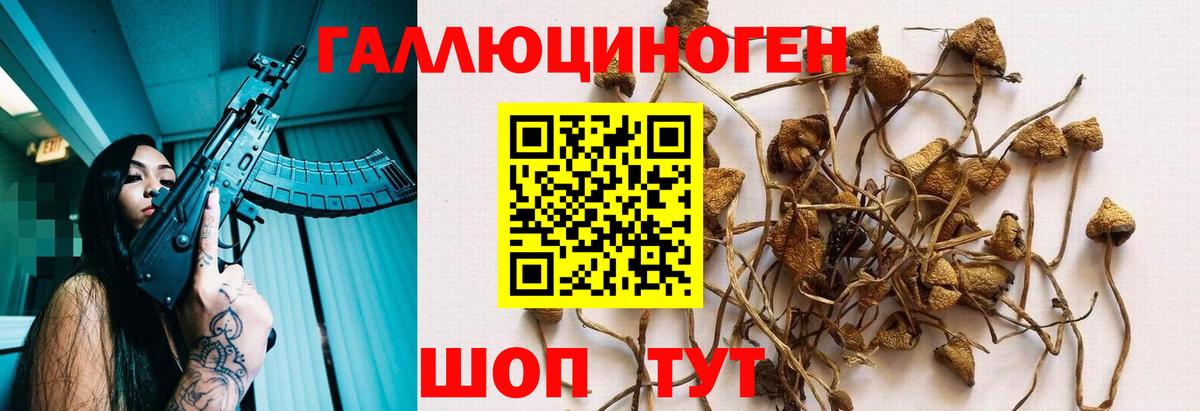 Галлюциногенные грибы Psilocybe  Вход с VPN  Кемерово  Псилоцибиновые грибы MAGIC MUSHROOMS 